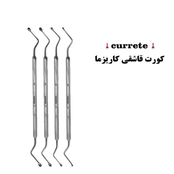 کورت قاشقی کاریزما ( ۴سایز )
