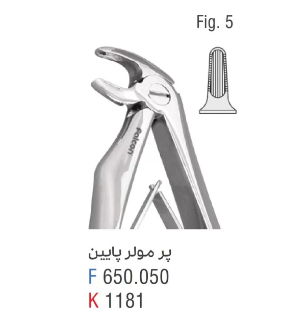 فورسپس پرمولر پایین فالکن fig:5