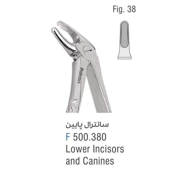 فورسپس سانترال پایین فالکن Fig:38