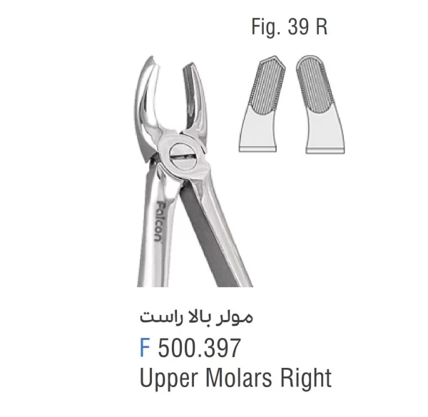 فورسپس مولر بالا راست فالکن Fig:39R