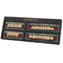 دندان مصنوعی yaghoot رنگ A1