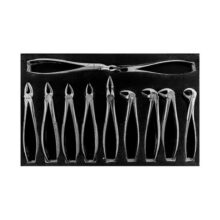 ست فورسپس 11 عددی بزرگسال برند Dental Devices - ست فورسپس ۱۱ عددی دنتال دیوایس - ست فورسپس بزرگسال,ست فورسپس بزرگسال دنتال دیوایس,قیمت ست فورسپس بزرگسال,خرید ست فورسپس بزرگسال,‌فروش ست فورسپس بزرگسال,خرید اینترنتی ست فورسپس بزرگسال دنتال دیوایس, , Forceps Set دنتال دیوایس, ,Dental Devicesفروش اینترنتی ست فورسپس بزرگسال,ست فورسپس بزرگسال ارزان,ارزان ترین ست فورسپس بزرگسال,ست فورسپس بزرگسال اصل,ست فورسپس بزرگسال MB, بهترین ست فورسپس بزرگسال,ست فورسپس بزرگسال باکیفیت,پرفروش‌ترین ست فورسپس بزرگسال