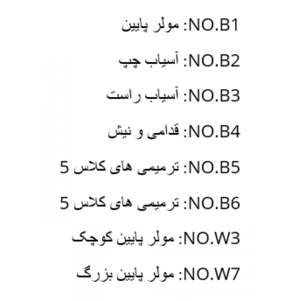 کلمپ رابردم Charisma - قیمت و خرید کلمپ رابردم کاریزما - خرید تجهیزات دندانپزشکی تهران دنت - خرید ابزار دندانپزشکی - دندانت - دندال