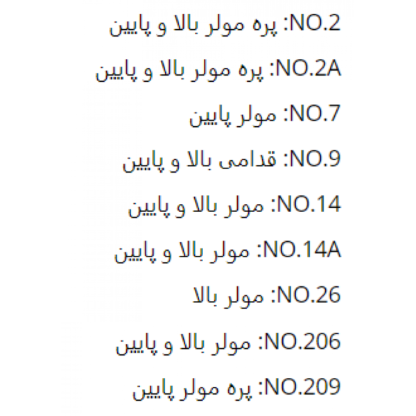کلمپ رابردم Smart Instru - قیمت و خرید کلمپ رابردم - فروش انواع کلمپ رابردم - خرید تجهیزات دندانپزشکی تهران دنت - خرید ابزار دندانپزشکی