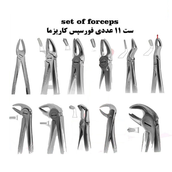 ست فورسپس ۱۱ عددی برند کاریزما - فورسپس ساده - خرید ست فورسپس - قیمت ست فورسپس - فروش ست فورسپس - خرید آنلاین ابزار دندانپزشکی از تهران دنت - دندانت
